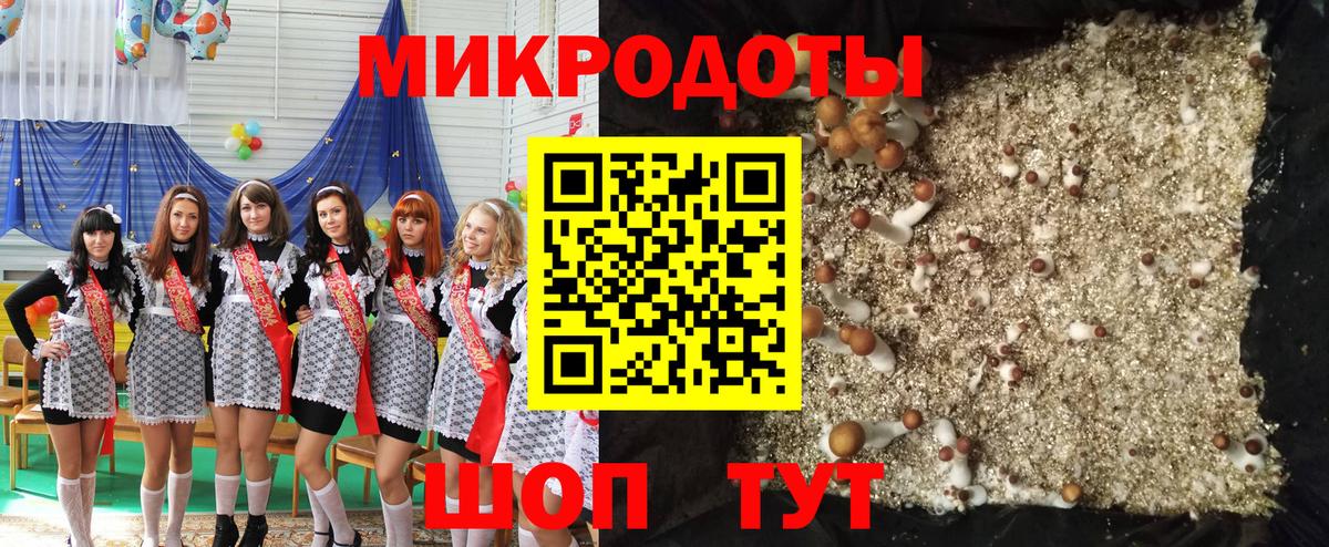 Галлюциногенные грибы Psilocybe  где продают наркотики  Ростов-на-Дону  Вход с VPN 